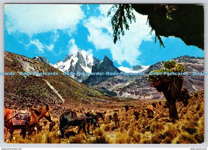 L369423 Mount Kenia Sapra Studio Nairobi