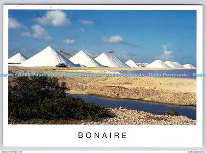 L371554 Bonaire Netherlands Antilles Marion Korschilgen F de Wit