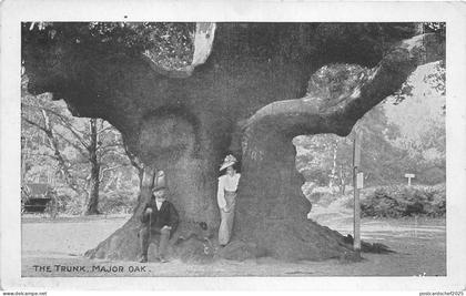 Lot261 the trunk major oak Nottinghamshire uk