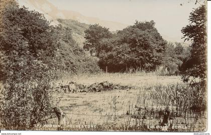 PC19195 The Warren. Folkestone. Postcard