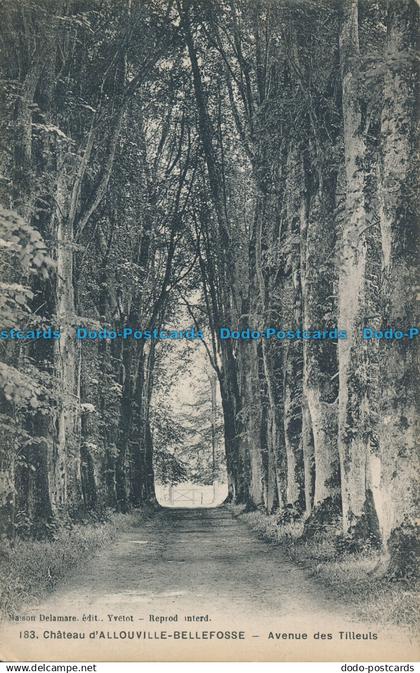 R019694 Chateau d Allouville Bellefosse. Avenue des Tilleuls. Delamare. 1914