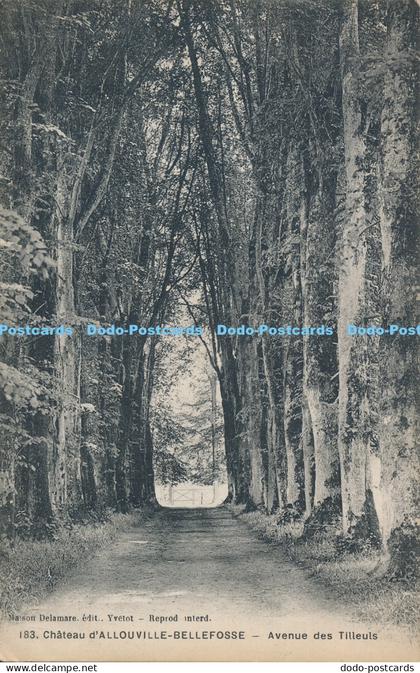 R019694 Chateau d Allouville Bellefosse Avenue des Tilleuls Delamare 1914