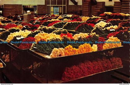 R082551 Aalsmeer. Interior Flower Auction