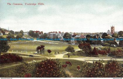 R098778 The Common. Tunbridge Wells