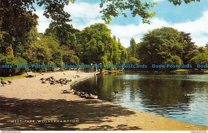 R153715 West park. Wolverhampton. Salmon