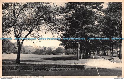 R271810 Harrogate The Stray and Low Harrogate 82408 Photochrom 1944
