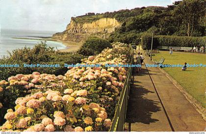 R318867 The Hydrangeas Keats Green and Shanklin Head Shanklin I O W Plastichrome