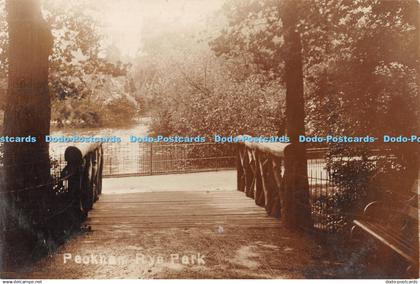 R464614 Peckham Rye Park