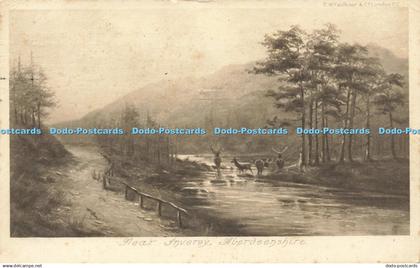 R598904 Aberdeenshire Near Inverey C W Faulkner 1905