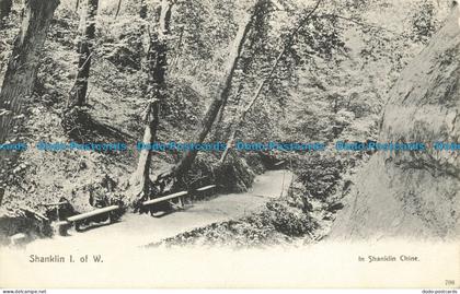 R640925 I. of W. Shanklin. In Shanklin Chine. J. Davis. Victoria Series. 1906