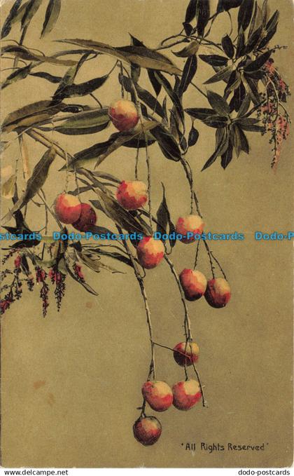 R656402 Trinidad. Mango. Muir. Marshall. No. 22