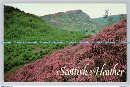 R781550 Scottish Heather Photo Precision St Ives Huntington Cambs Colourmaster I