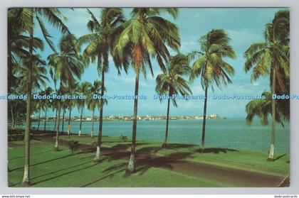 R785769 Panama City Republic of Panama as Seen From Amador Mike Roberts Flatau P