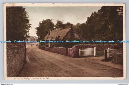 R803479 Bognor Regis Old Cottages Postcard