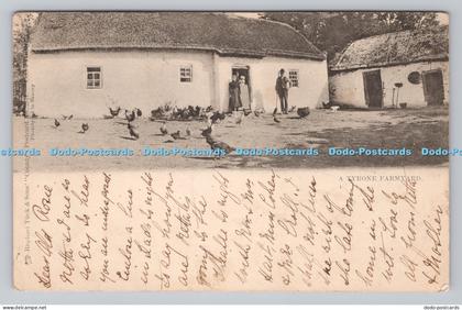 R811729 A Tyrone Farmyard Tuck County