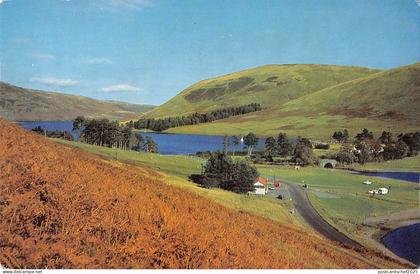 uk6454 st marys loch selkirkshire scotland  uk