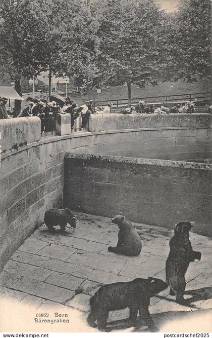 us484 bears bern switzerland berna zoo