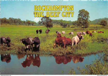 us8208 rockhampton the beef city