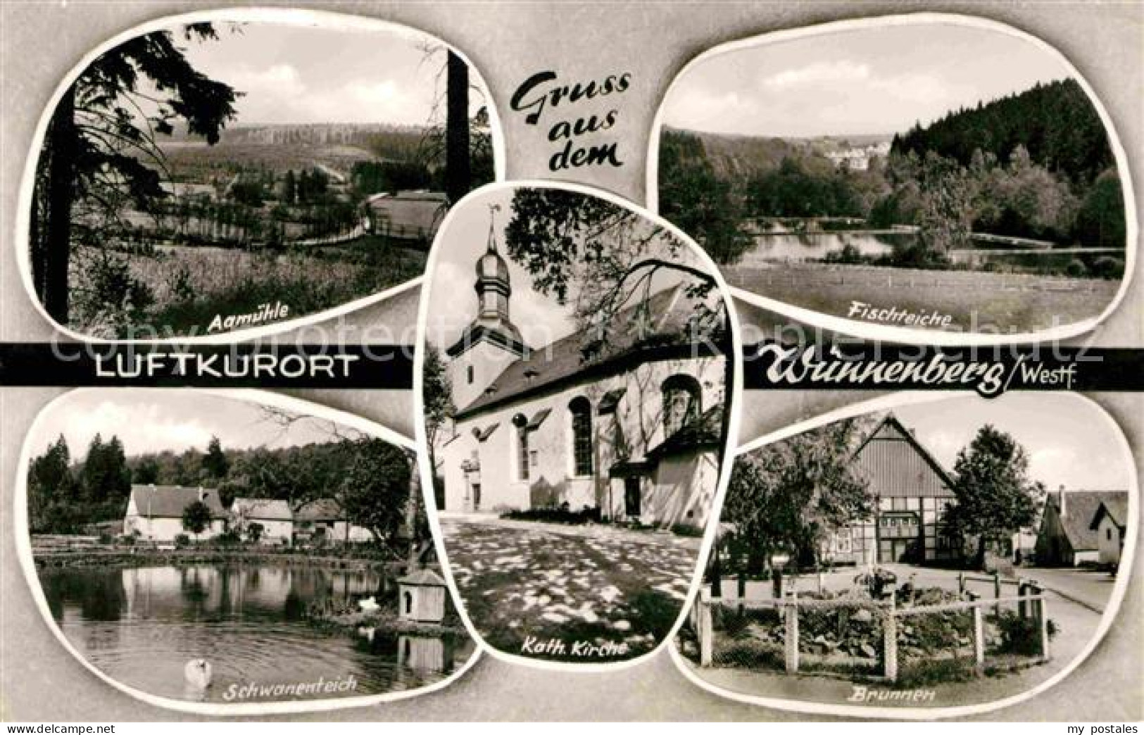 Wuennenberg Bad Aamuehle Schwanenteich Katholische Kirche Brunnen Fischteiche