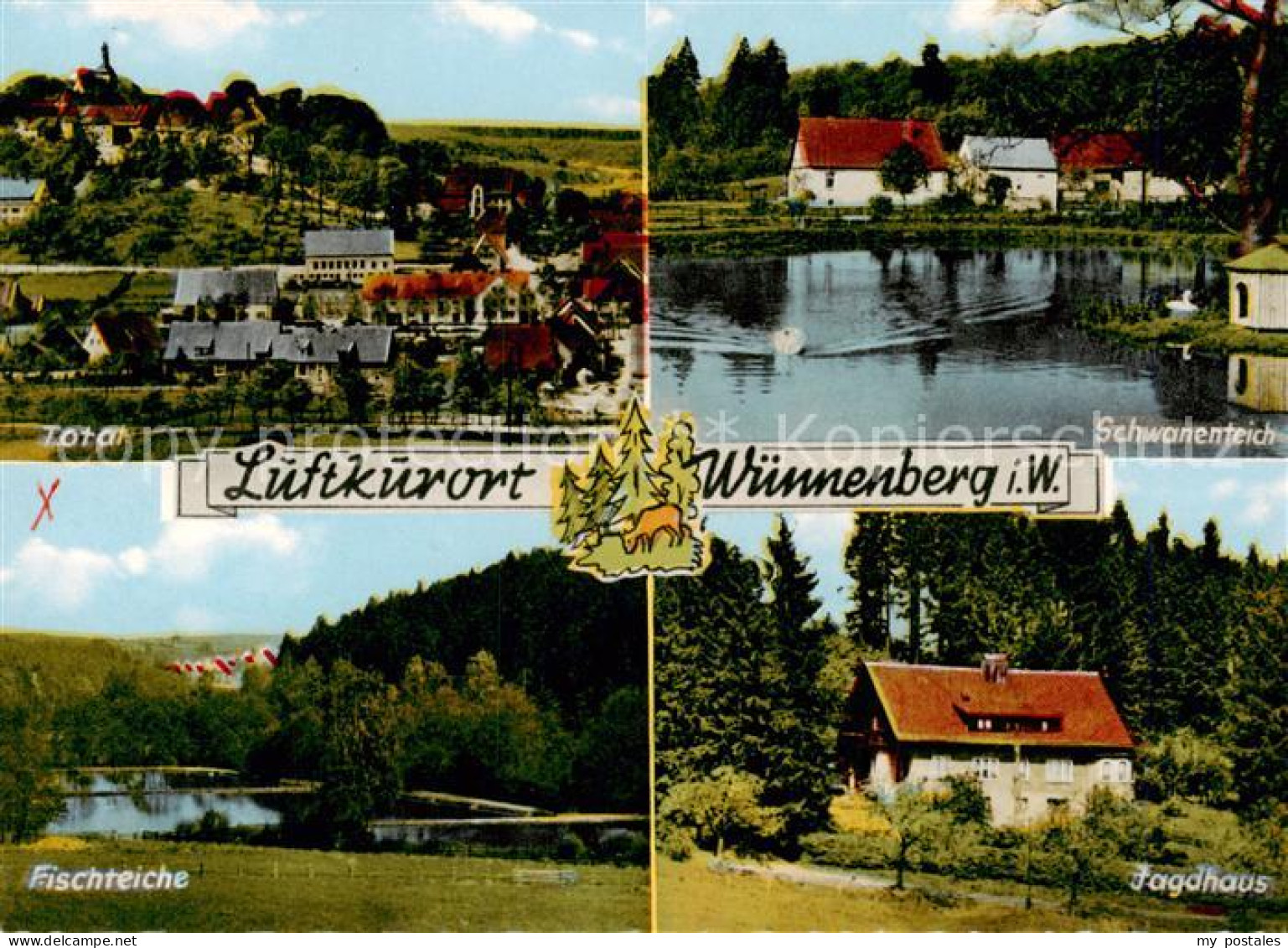 Wuennenberg Panorama Schwanenteich Fischteiche Jagdhaus