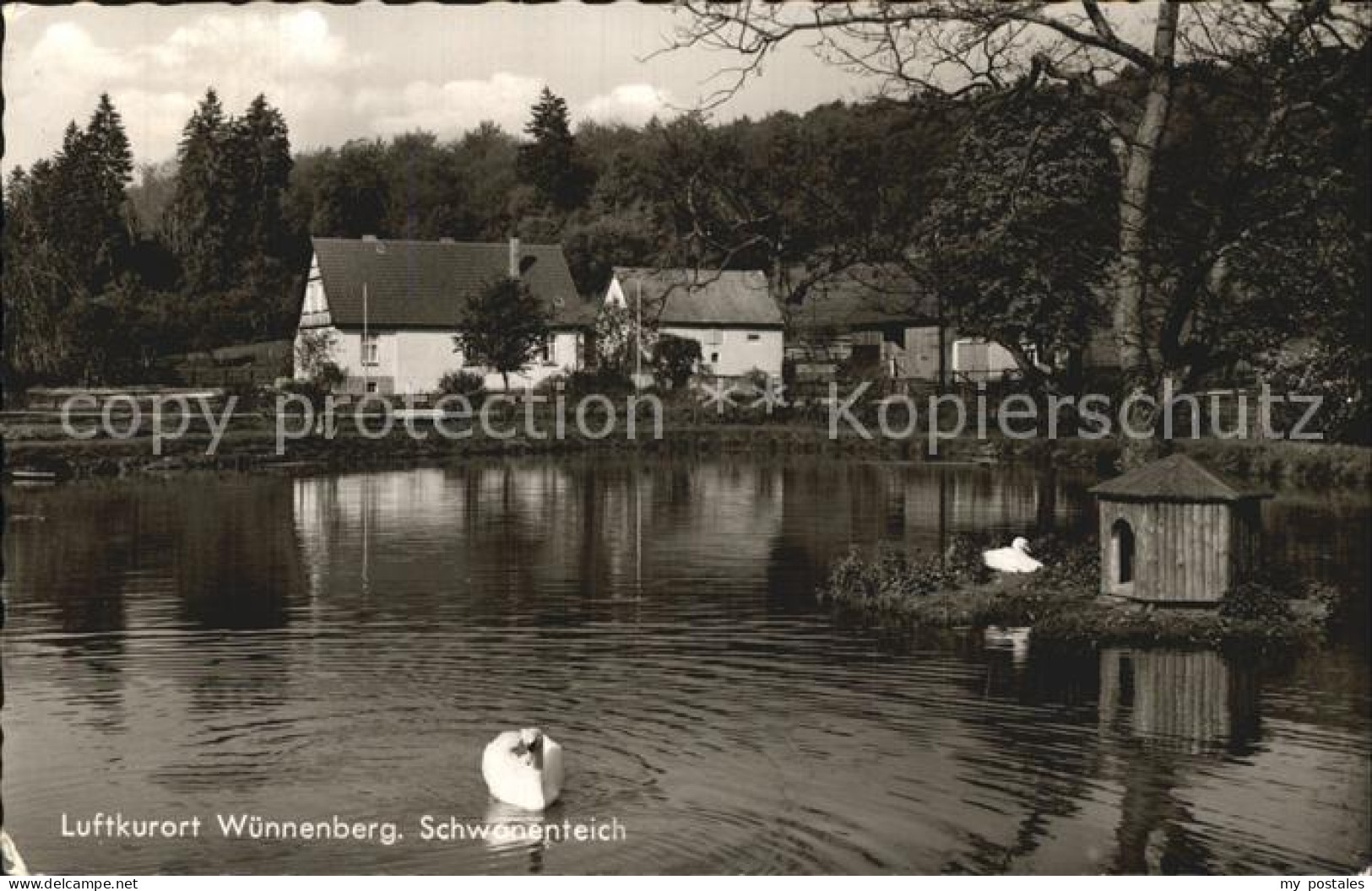 Wuennenberg Schwanenteich
