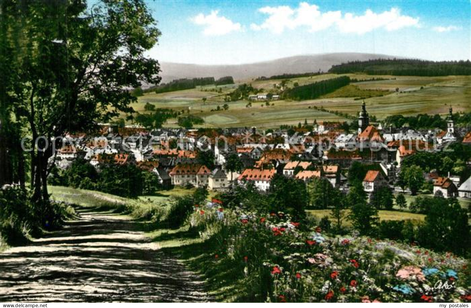 Wunsiedel Panorama