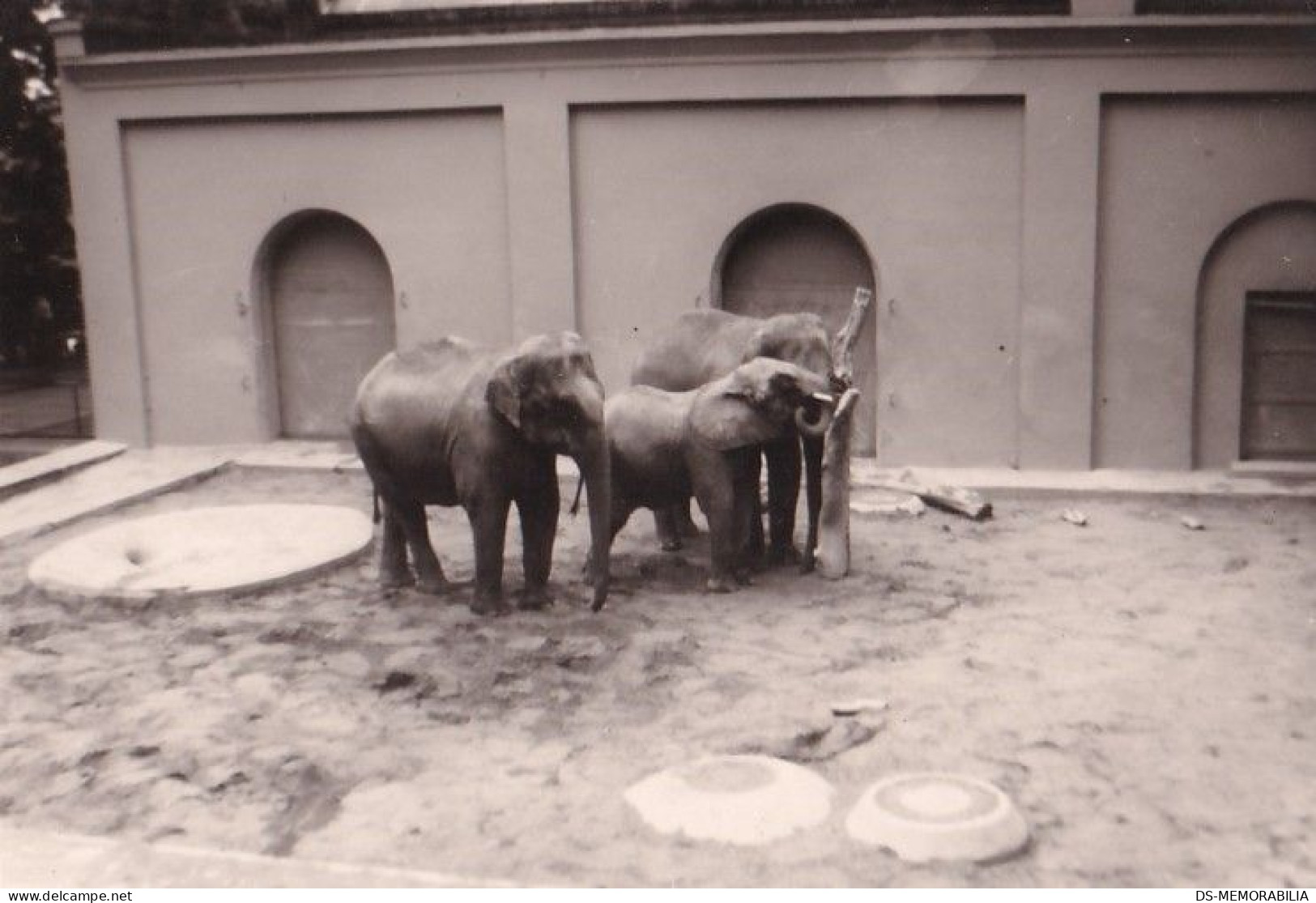 Wuppertal ZOO 9 Original Photos