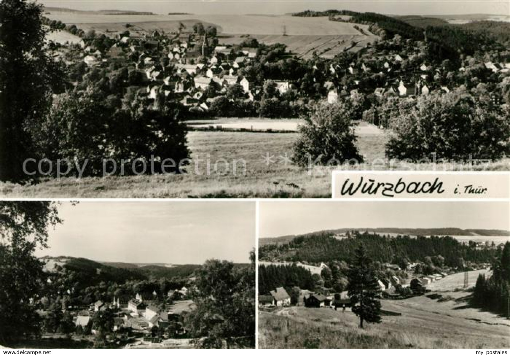 Wurzbach