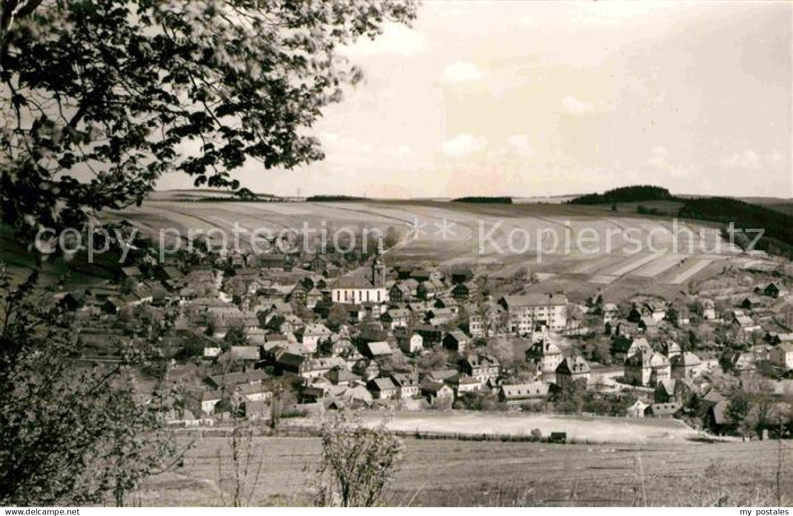 Wurzbach