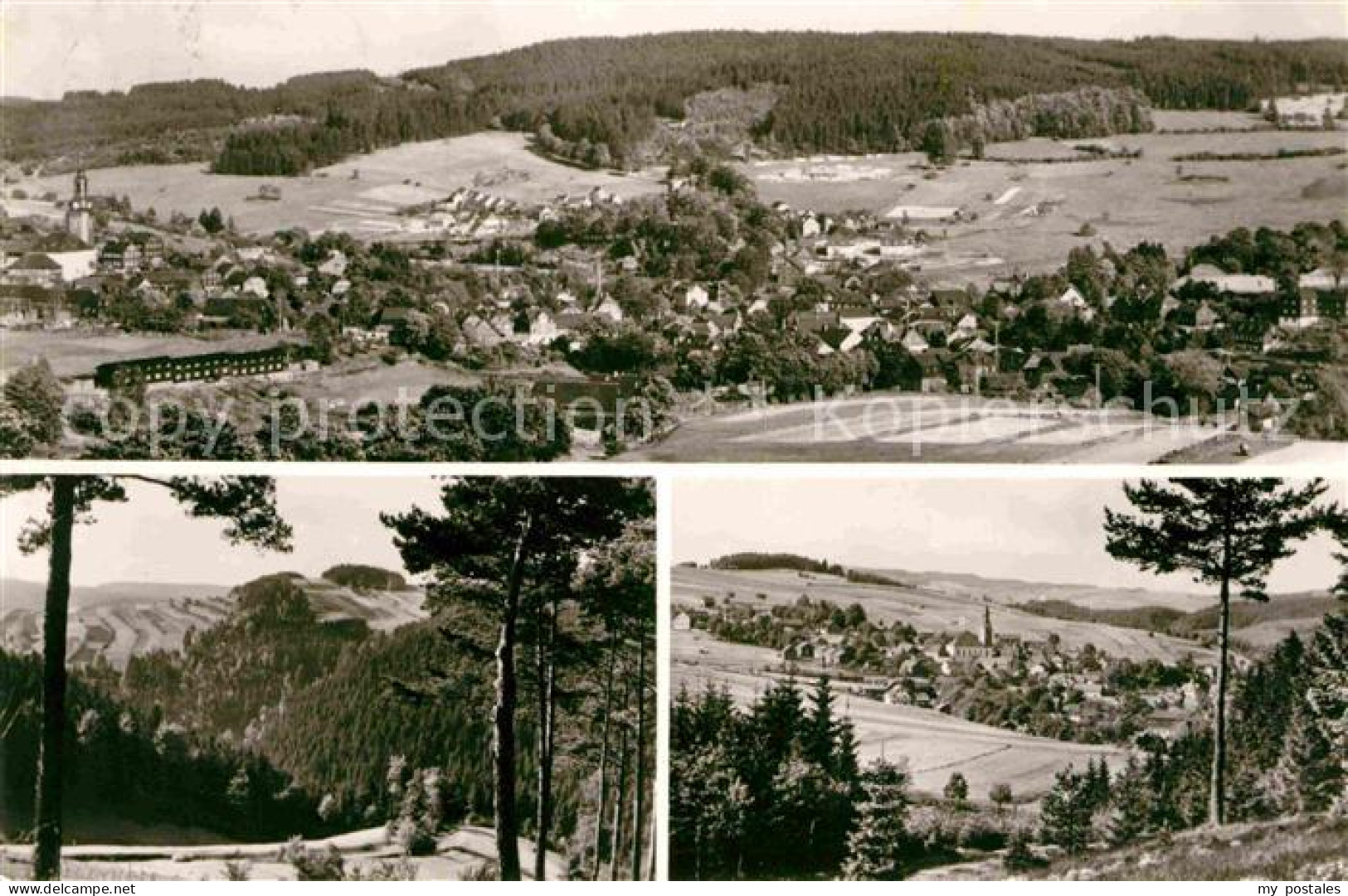 Wurzbach