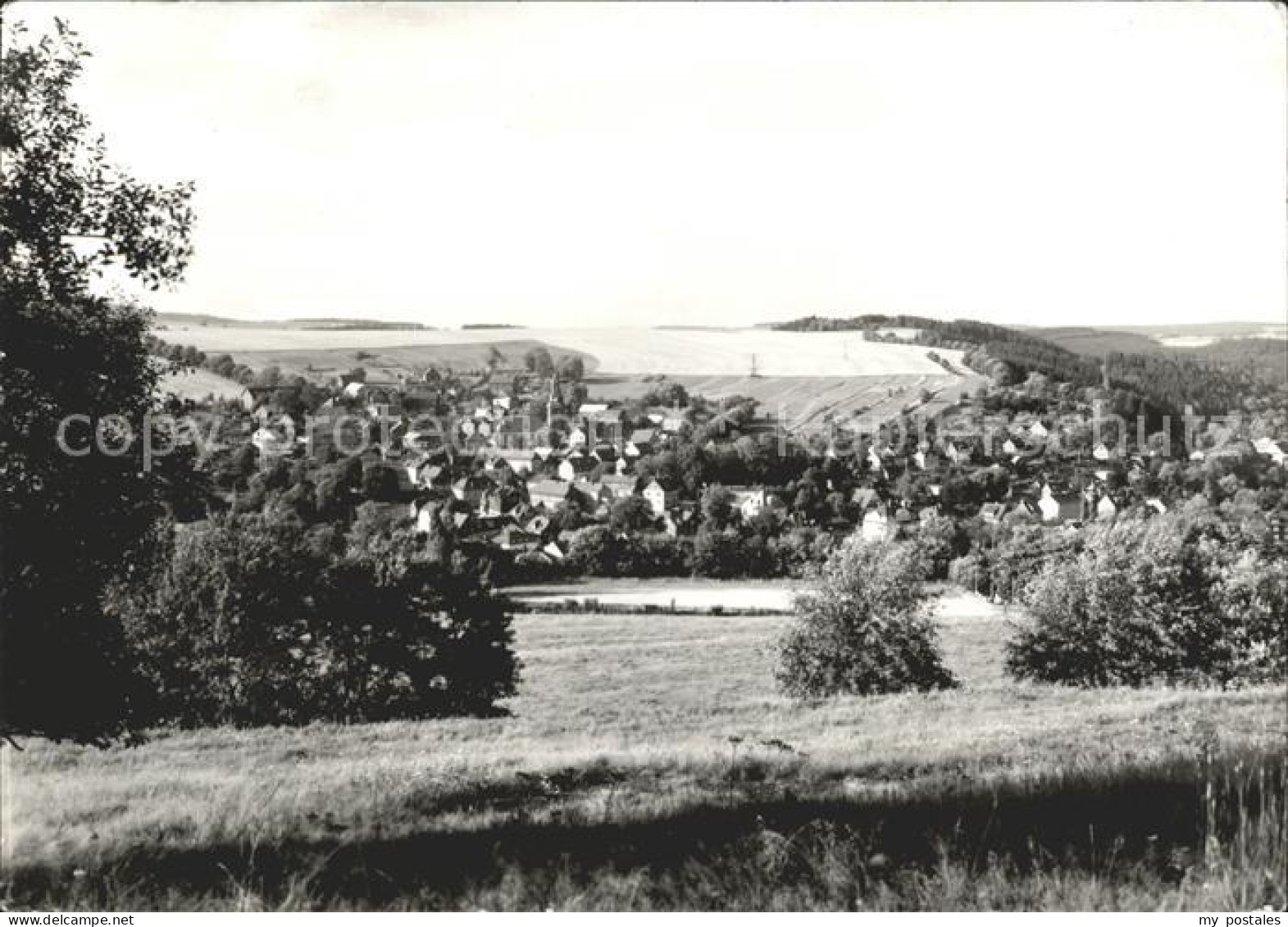 Wurzbach