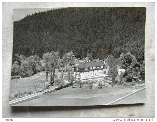 Wurzbach -Thür.   D96389