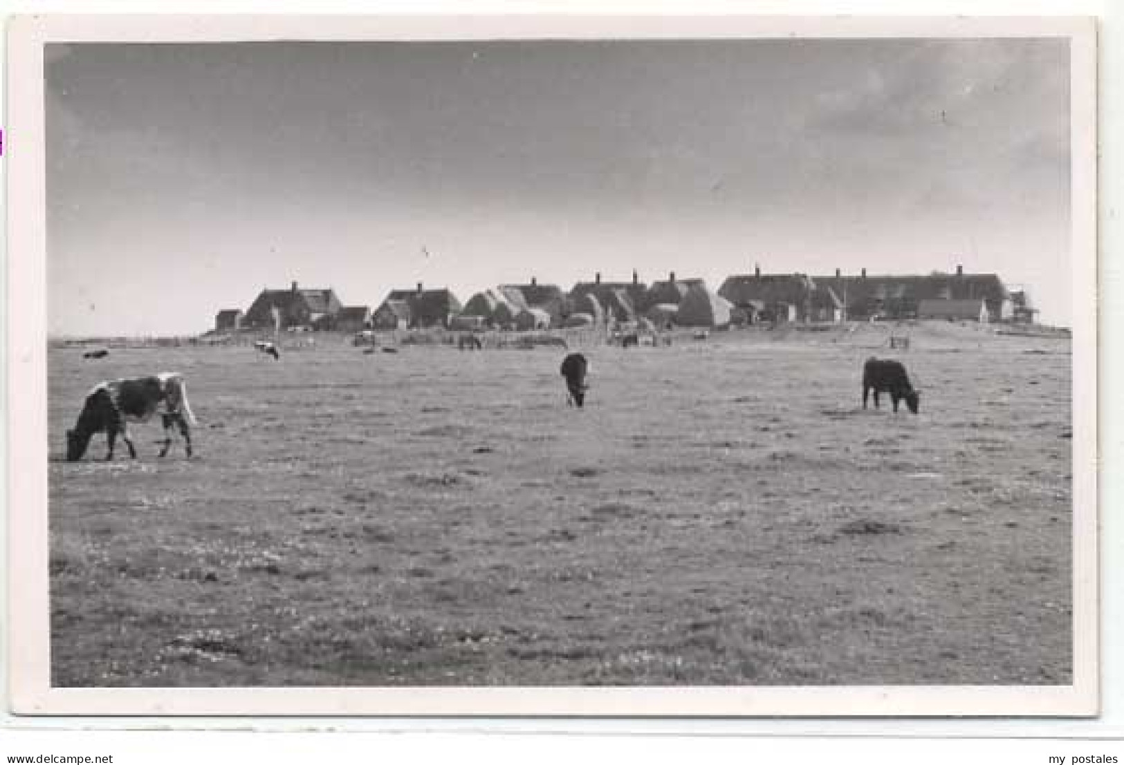 Wyk Foehr Midlum Wyk auf Foehr