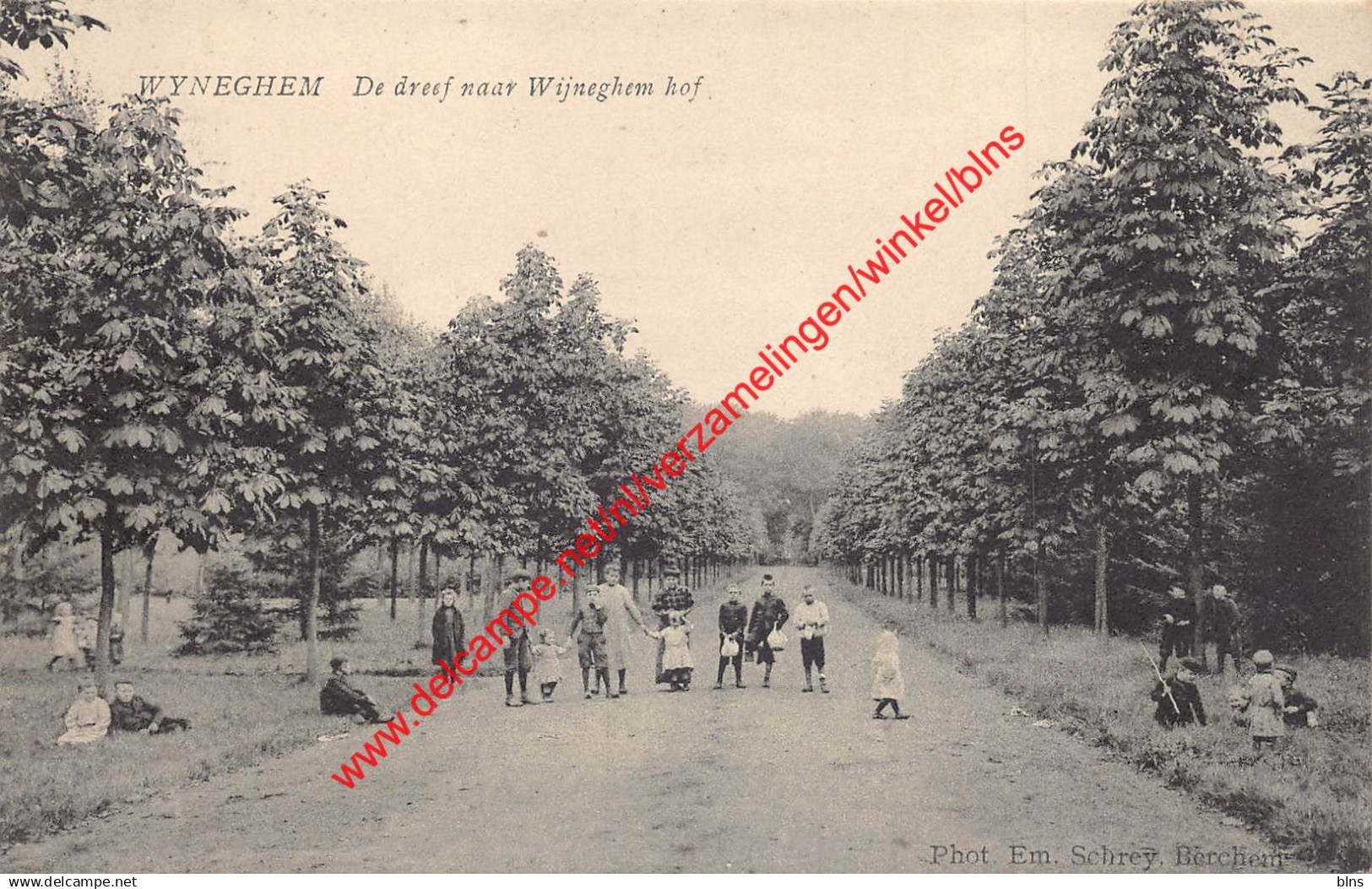 Wyneghem - De dreef naar Wyneghem hof - Wijnegem