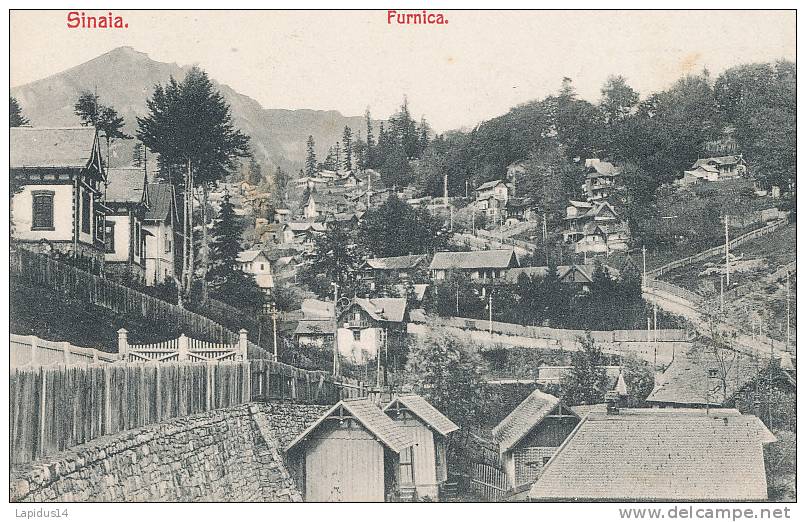 X 96/C P A  ROUMANIE - SINALA      FURNICA