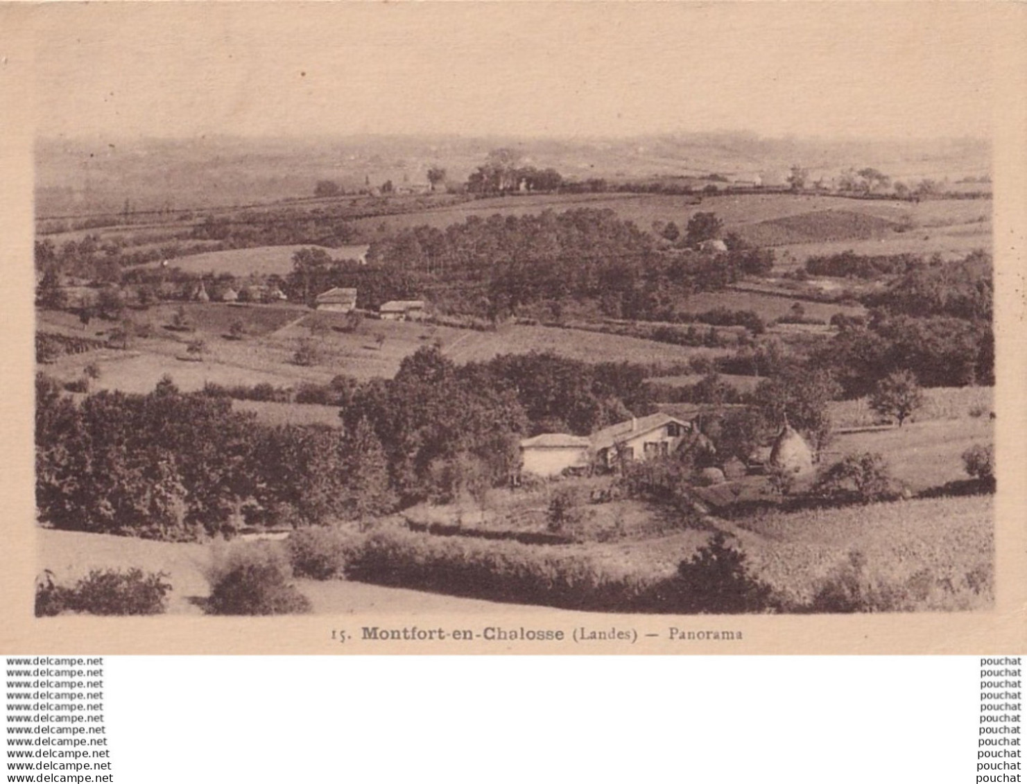 Y11-40) MONTFORT EN CHALOSSE (LANDES) PANORAMA  - ( 2 SCANS )