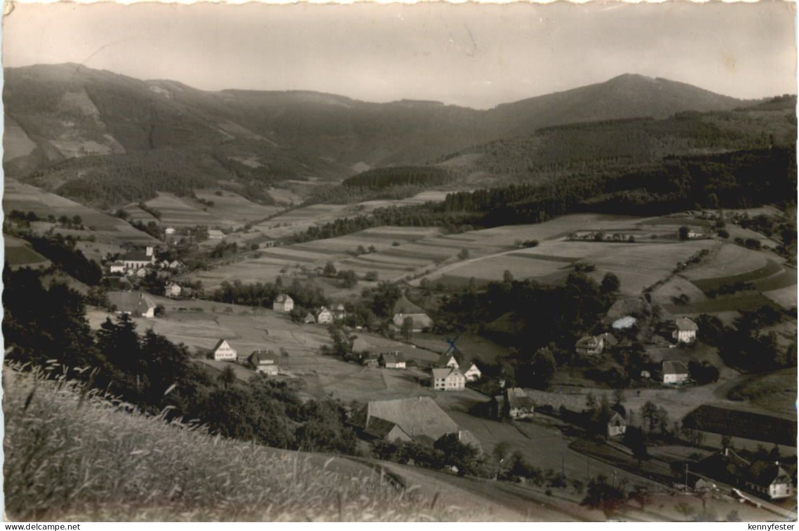 Yach bei Elzach - Schwarzwald