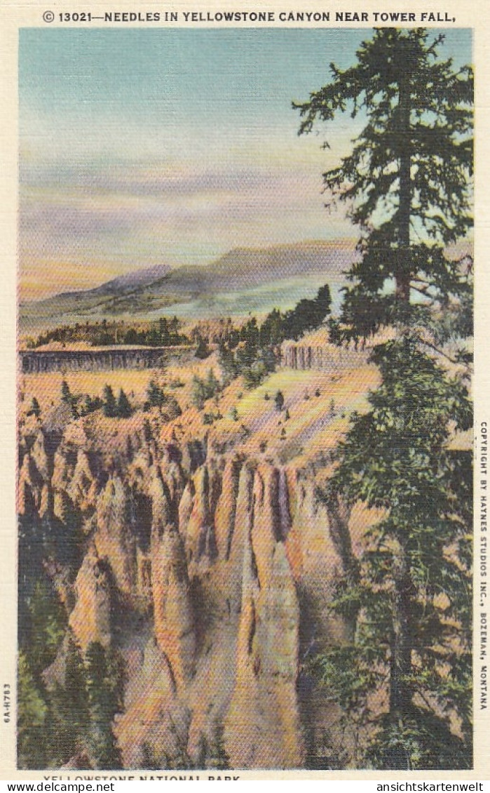 Yellowstone Nat.Park, Needles in Yellowstone Canyon ngl #E8670