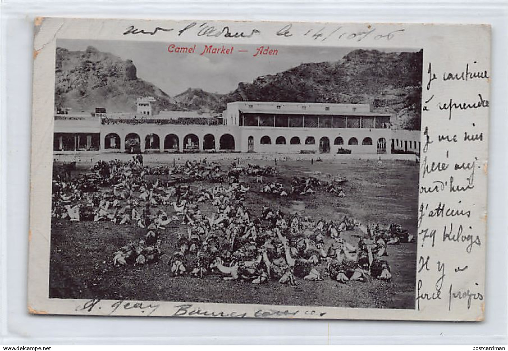 Yemen - ADEN - Camel Market - Publ. unknown