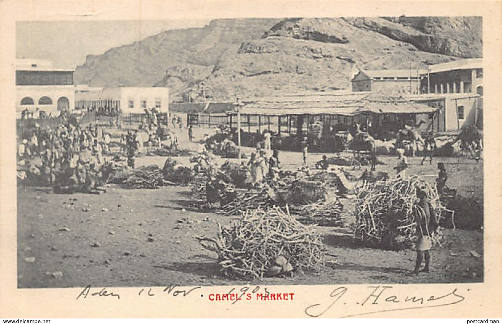 Yemen - ADEN - Camel's market - Publ. unknown