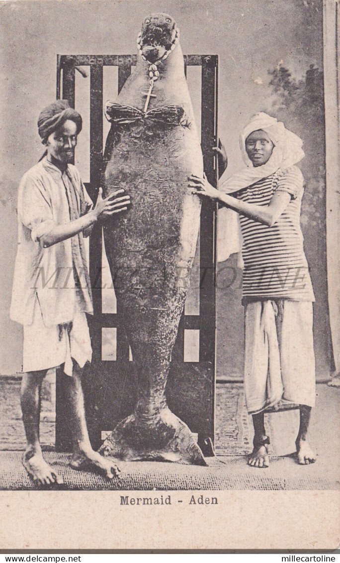 YEMEN - Mermaid, Aden, Postcard