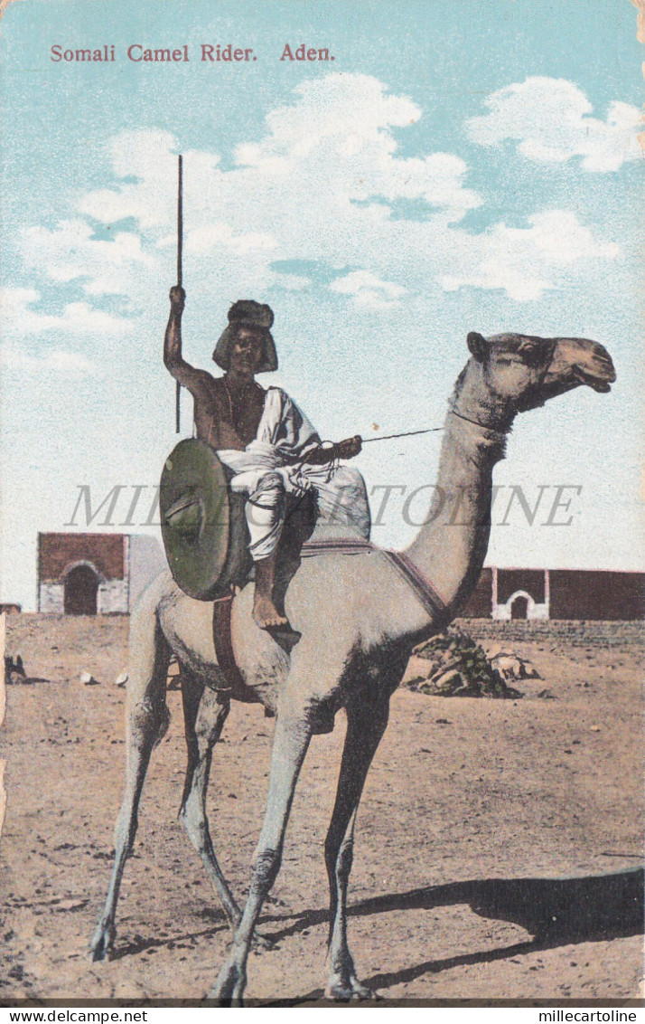 YEMEN - Somali Camel Rider, Aden, Postcard