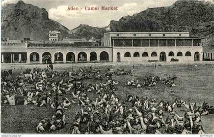 Aden - Camel market - Jemen