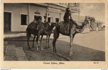 Aden - Camel Riders - Jemen