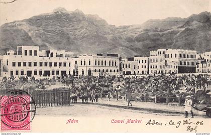 Yemen - ADEN - Camel market - Publ. unknown