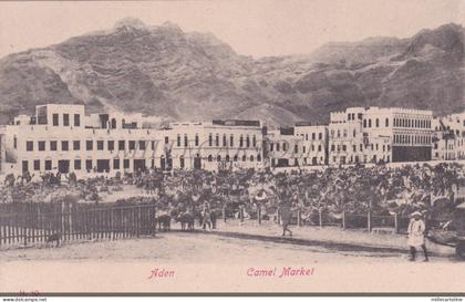 YEMEN - Camel Market, Aden, Postcard 1900