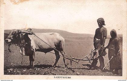 Yemen - Ploughmen - Publ. Sarrafian