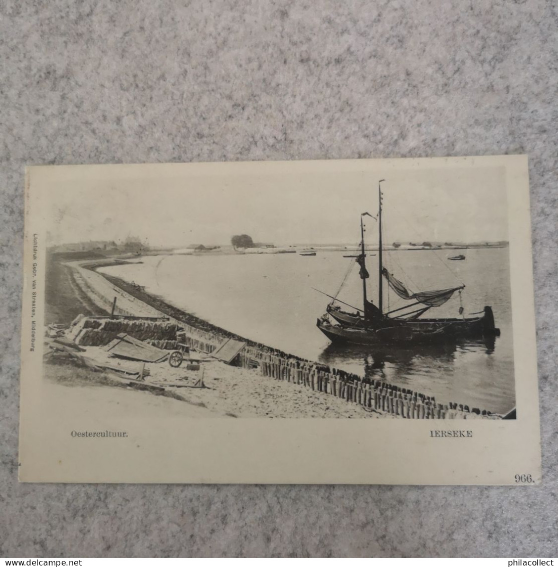 Yerseke - Ierseke // Oestercultuur 1901