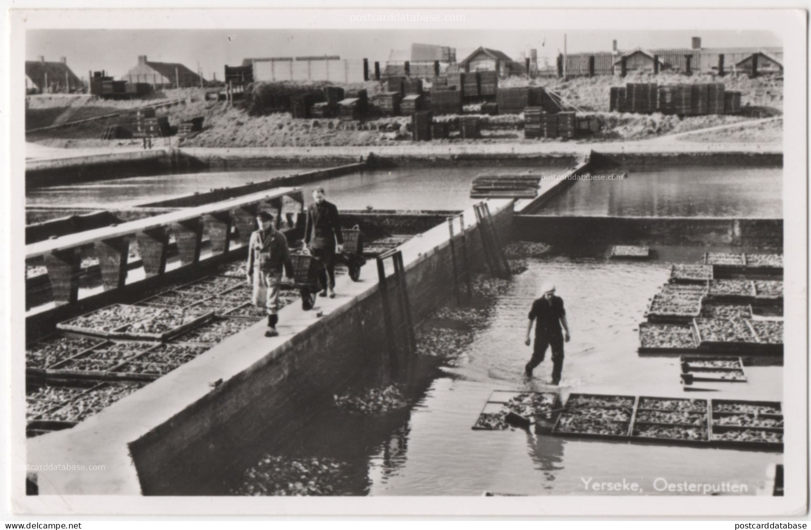 Yerseke - Oesterputten