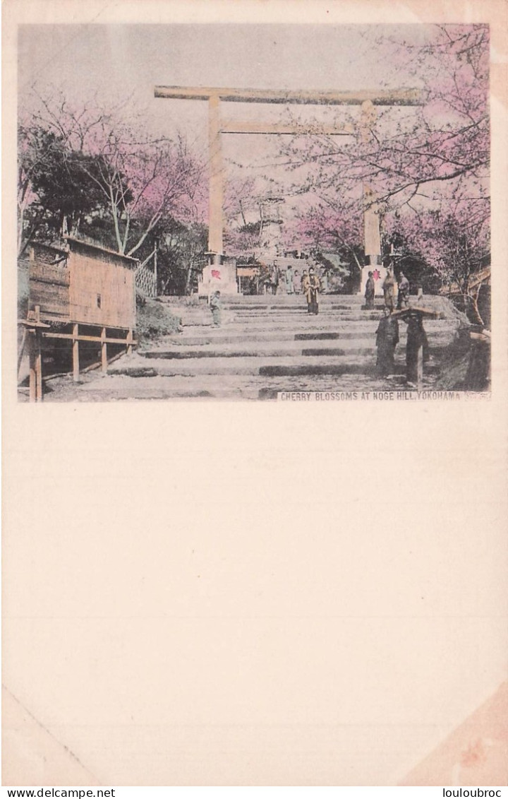 YOKOHAMA CHERRY  BLOSSOMS AT NOGE HILL